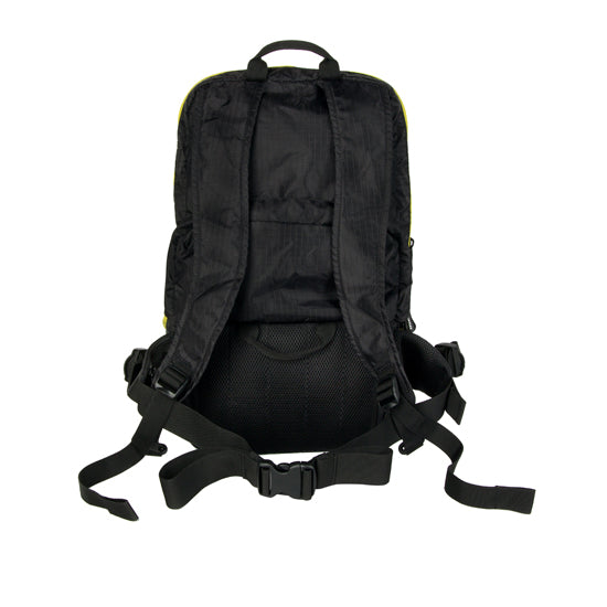 Light Delight Foldable Backpack